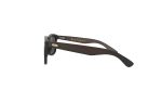 Woody SD - Black Ebony Polarised