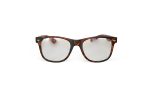 Woody Clear - Tortoise Front