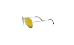 Fire Silver Mirror Aviator Polarised