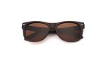 Bernie - Brown Polarised