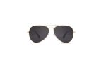 Mr Smith - Gold Polarised Aviator