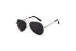 Mr Smith - Gold Polarised Aviator