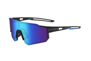 Raptor Polarised Sports Sunglasses Black/Ice